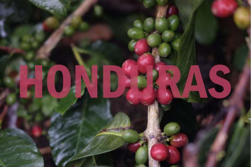 Honduras